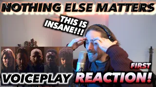 Voiceplay - Nothing Else Matters (Metallica) FIRST REACTION! (THIS IS INSANE!!!)