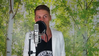 Ferry de Ruiter - Giant In My Heart (cover)