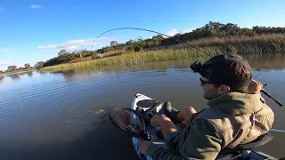 Epic Melbourne Freshwater Fishing Battles