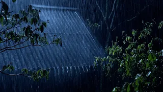 Sleep Instantly with Heavy Rain & Terrible Thunder at Night - Rain Sounds on a Tin Roof for Sleeping