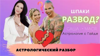 ШПАКИ РАЗВОД? разбор Шпаков