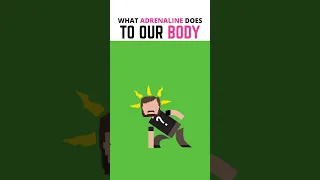 What Does Adrenaline Do To Your Body? #shorts #education