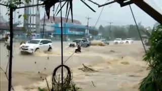 Devastating flooding in Nakhon Si Thammarat, Thailand 🇹🇭.