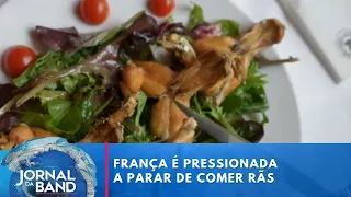 França está pressionada a parar de comer rãs | Jornal da Band