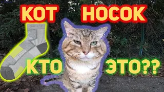 Кот Носок - Откуда МЕМ? Почему Он ЛЕГЕНДА?