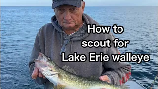 How to scout for walleye On Lake Erie: The Best Tips And Tricks. #walleyefishing