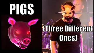 EOPF Performs Pink Floyd's Pigs (Three Different Ones)