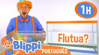 Afunda ou Flutua? | 1 HORA de Blippi em Português | Vídeos Educativos para Crianças