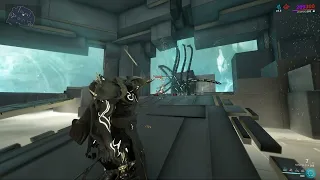 Every Hydroid Player Should Know