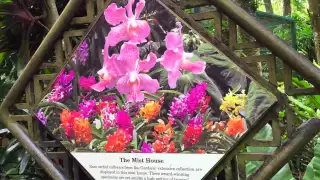 National Orchid Garden Singapore - Botanic Gardens