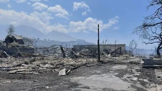 ‘It’s like a bomb dropped’: Hawaiian town destroyed by hurricane-fanned fires