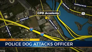 Officer forced to shoot K9 partner after being attacked