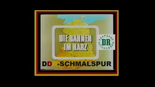 Schmalspurbahnen in der DDR - Harz [Deutsche Reichsbahn1984 -1987]
