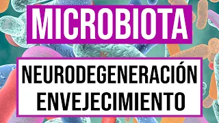 🟣 Neuroinflamación, Neurodegeneración y Envejecimiento [PAPEL DE LA MICROBIOTA] - Mar Alonso