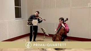 Kanon in D von Pachelbel | Violine & Cello Duett {Live}