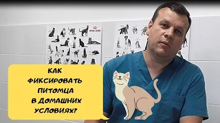 КАК ФИКСИРОВАТЬ ПИТОМЦА В ДОМАШНИХ УСЛОВИЯХ?