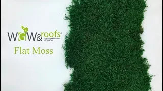 Preserved moss: Flat moss