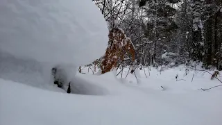 "Зимний вальс" Александра Городницкого .