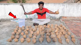 How Much Sweet Water In 100 Coconut 🥥 Shocked Results...😳