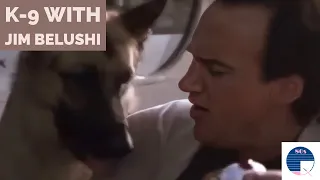 K-9 with Jim Belushi