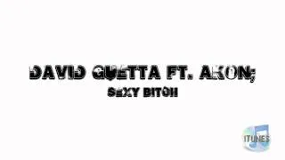 David Guetta ft Akon Sexy Bitch