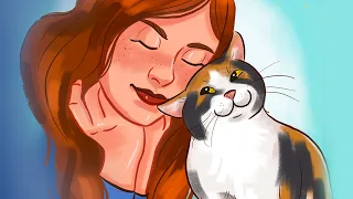 10+ Ways Cats Show They Love You