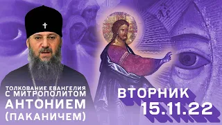 Толкование Евангелия с митр. Антонием (Паканичем). Вторник, 15 ноября 2022 года