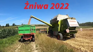 Żniwa Pszeniczne 2022 # Ursus 4011 # Claas Commandor W Akcji