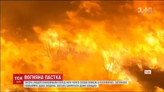 Лісові пожежі у Каліфорнії спричинили масову евакуацію людей