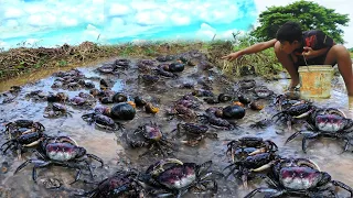 amazing fishing crabs! a fisherman skill catch lots of crabs in hole when flooded on the road