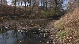 Near-record drought conditions take toll across state