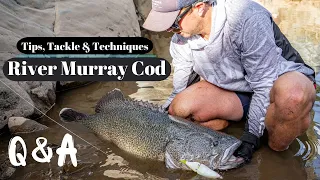 River Murray Cod - Tips, Tackle & Techniques Q&A