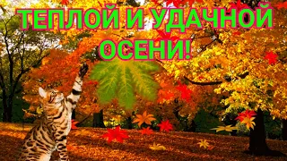 Удачной осени! Теплые пожелания для друзей. Музыкальные пожелания.