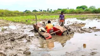 Massey Ferguson tractor stuck in mud and pulling out by jcb | jcb | | tractor | | Massey tractor |
