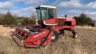 BigIron.com 1984 Hesston 6650 Windrower/Swather