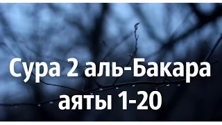 Сура аль Бакара аяты 1-20 - Зияд Пател