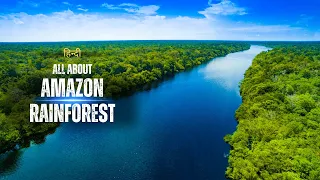 All About Amazon Rainforest – [Hindi] – Quick Support