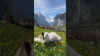 Feeling good in Lauterbrunnen Switzerland