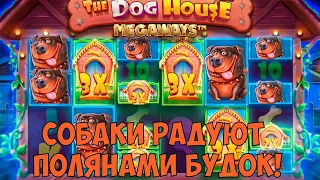 ИГРАЮ ВО ВСЕ ДОГ ХАУСЫ 9 / ПОЛЯНА БУДОК И СУПЕРЗАНОС В DOG HOUSE / СОБАКИ ВЕРНУЛИ МНЕ ВСЕ!!!