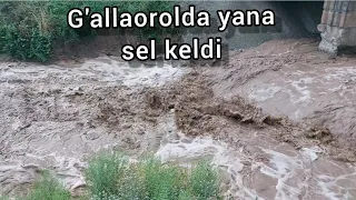 G'allaorolda yana sel keldi | Qorang'ul qishlog'i | 27.05.2022