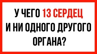 37 непростых загадок, которые будут держать мозг в тонусе