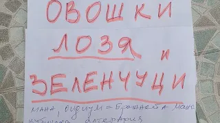 2023.Актуални Препарати за пръскане на овошки лозя и зеленчуци.Начин на употреба.