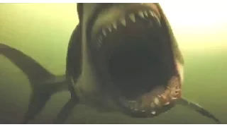 All Creature Effects #4: Shark Night