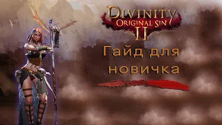 Divinity Original Sin 2 ГАЙД для начинающего | [Very Well]