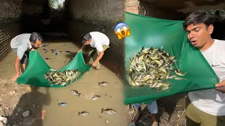 1000+ Fishes Pakar Li 🐠