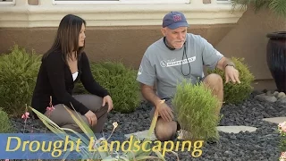 Growing California video series: Drought Landscaping