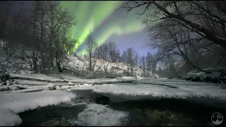 NORDLYS ELVA - Real-time frozen river & aurora 4K