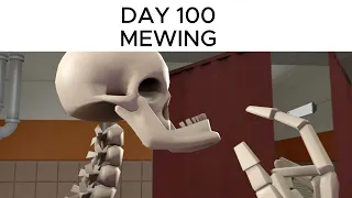 DAY 100 MEWING [SFM]