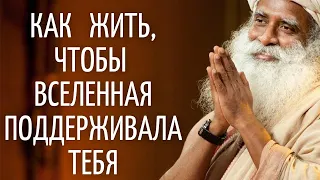 Садхгуру — Как жить, чтобы Вселенная поддерживала тебя.