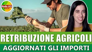 💶Retribuzione Agricoli💶: Aggiornati gli importi per il 2023 - Ministero del Lavoro